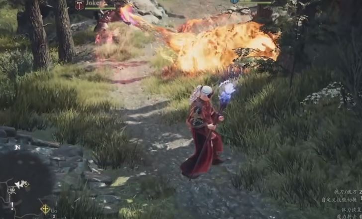 龍族教義2物理系隨從什麼職業好