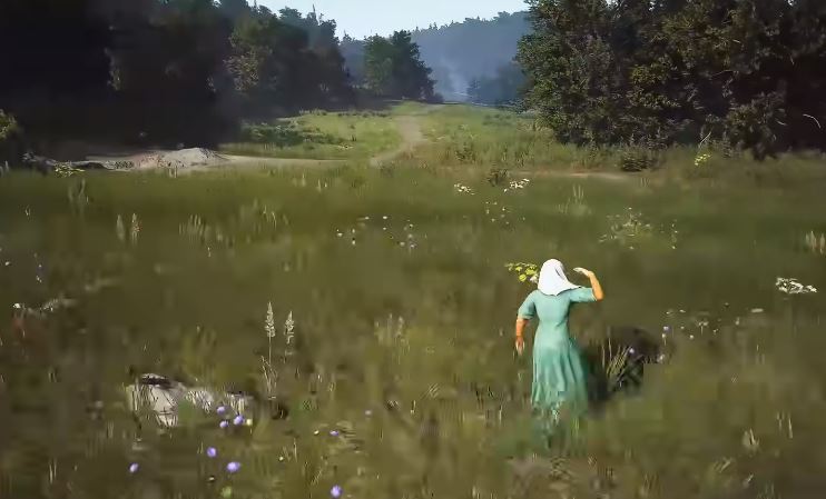 매너 로드: 어떻게 심는가