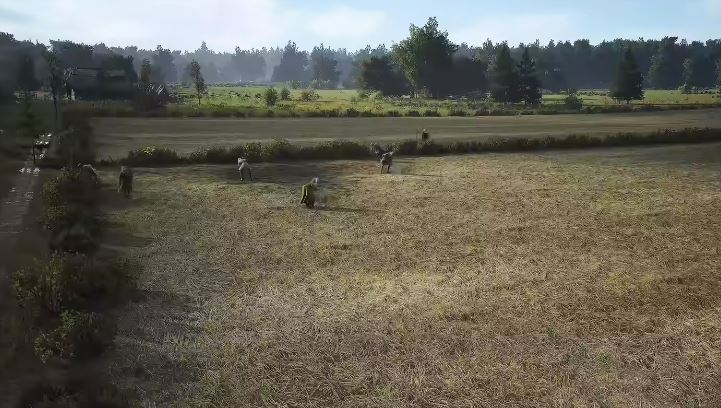 매너 로드: 어떻게 심는가