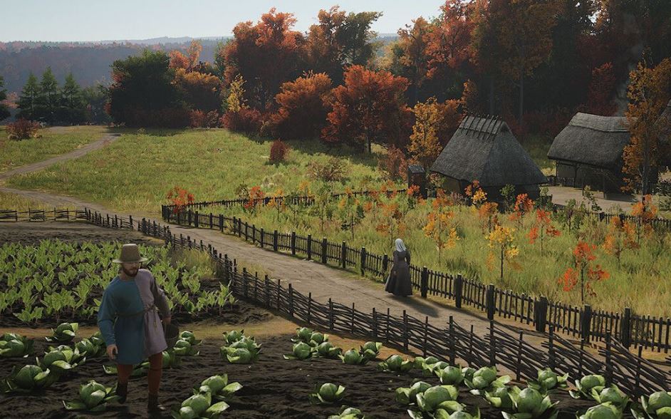 マナー・ロード：初年の急速な発展戦略