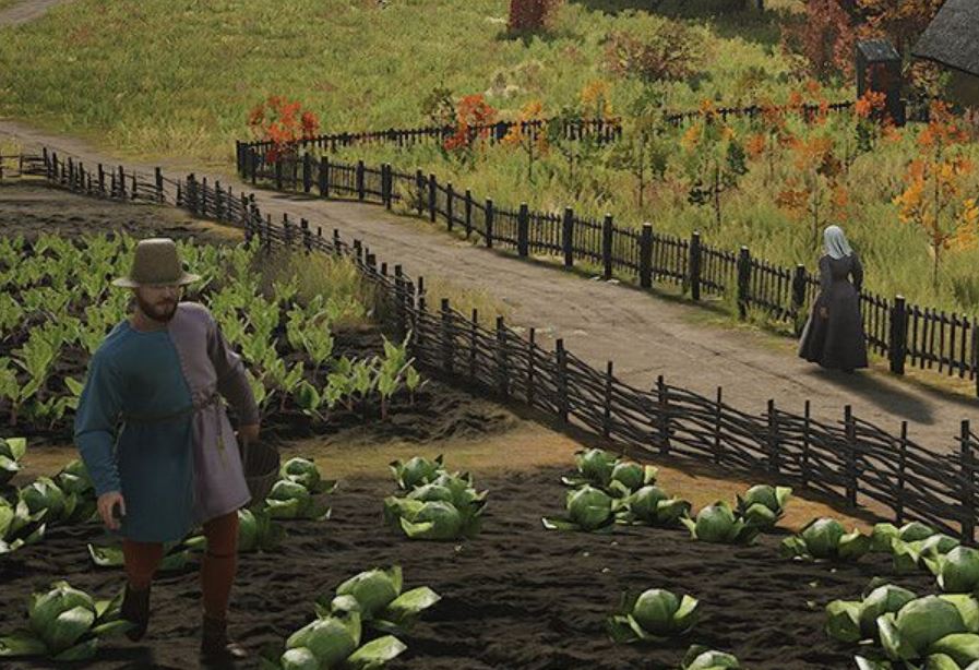 Manor Lords: Dzielenie się doświadczeniem w rolnictwie