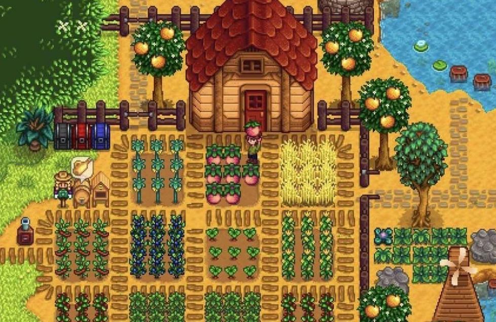 スターデューバレー1.6:サマースパングルの栽培方法