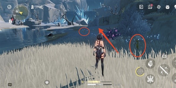 Wuthering Waves: Wintry Bell Collection Route Sharing