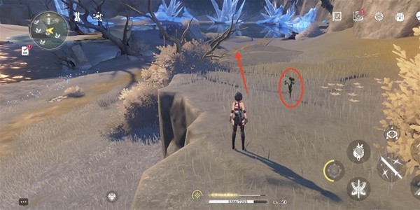 Wuthering Waves: Wintry Bell Collection Route Sharing