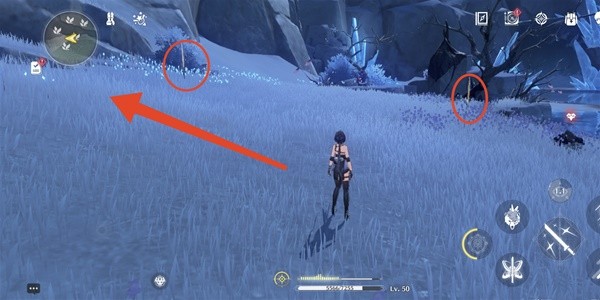 Wuthering Waves: Wintry Bell Collection Route Sharing