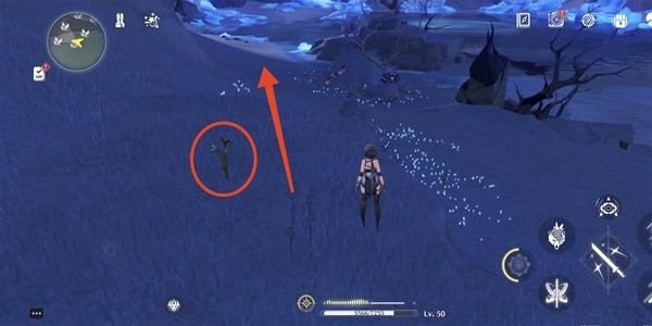 Wuthering Waves: Wintry Bell Collection Route Sharing