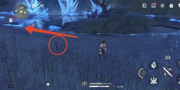 Wuthering Waves: Wintry Bell Collection Route Sharing