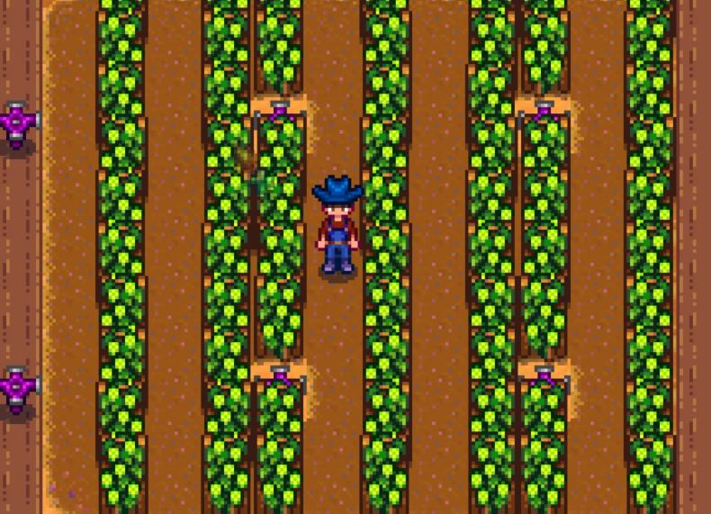 스타듀 밸리: 홉, 스타프루트 및 고대 과일