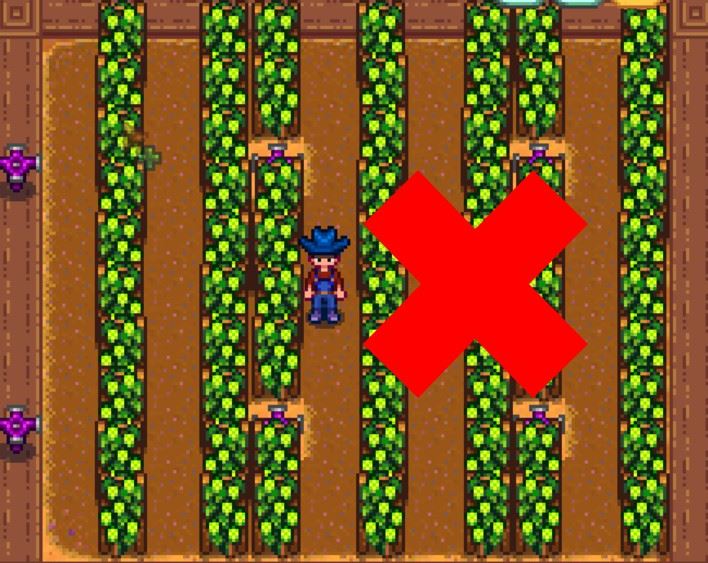 스타듀 밸리: 빠른 수확 및 빠른 양조