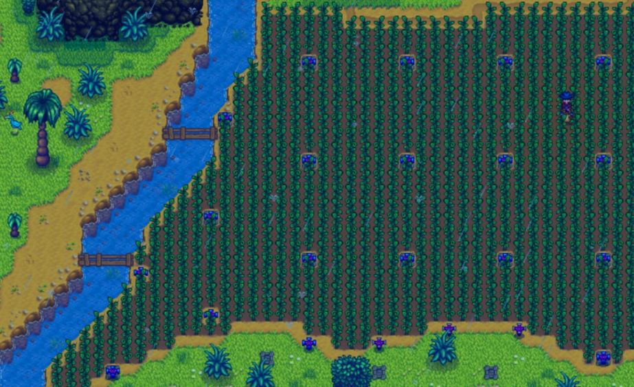 스타듀 밸리: 고대 과일