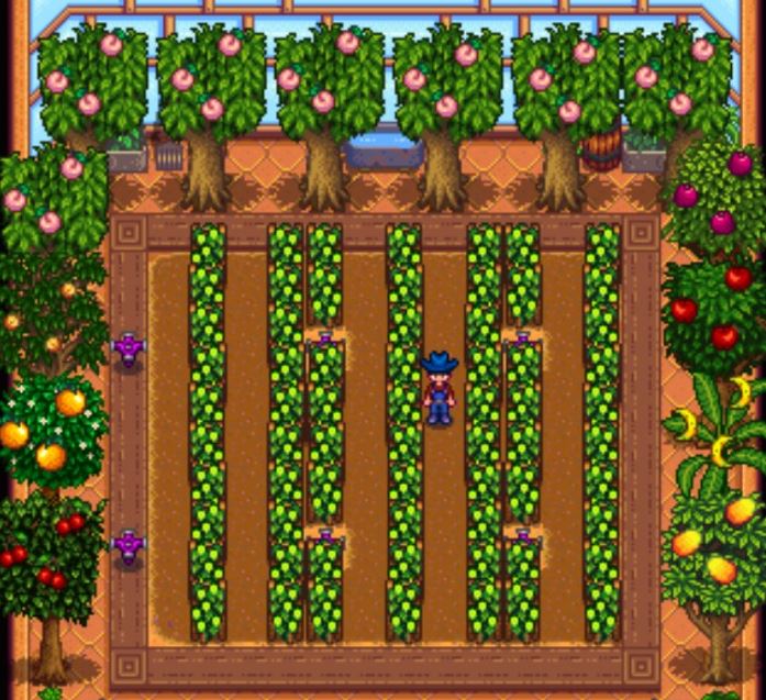 스타듀 밸리: 과일나무