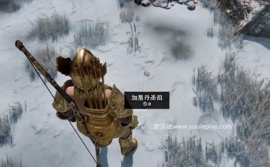 《上古卷轴4：湮灭重制版》救世主圣泪任务攻略