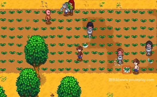 《星露谷物语 Stardew Valley》如何获得杨桃种子